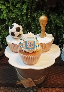 Cupcakes AFA copa del mundo